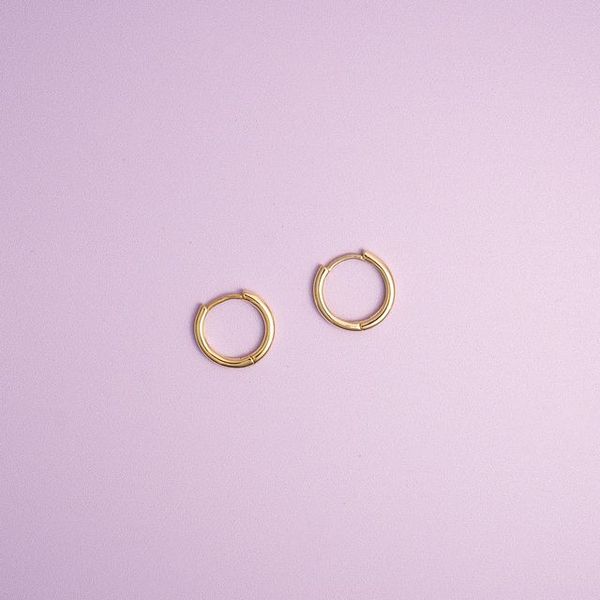 CHARMS SANDRA LYNG BY PAN Hooked øreringer 48149