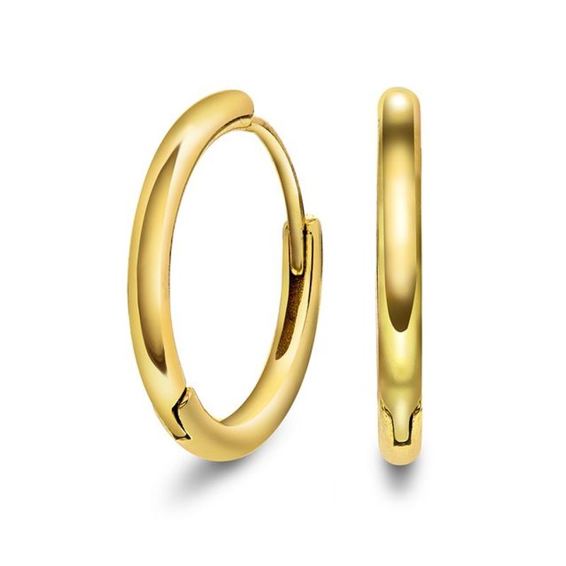 CHARMS SANDRA LYNG BY PAN Hooked øreringer 48150